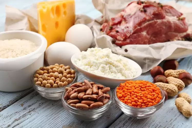 fehérjetartalmú étrend termékek